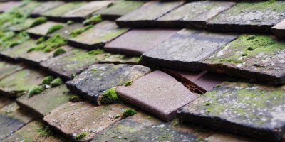 Darcy roof repair costs